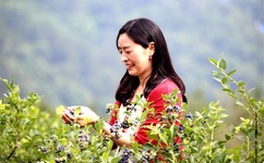 邪恶力量第一季快播